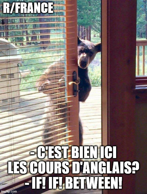 Bear at door | R/FRANCE; - C'EST BIEN ICI LES COURS D'ANGLAIS?
- IF! IF! BETWEEN! | image tagged in bear at door,france | made w/ Imgflip meme maker