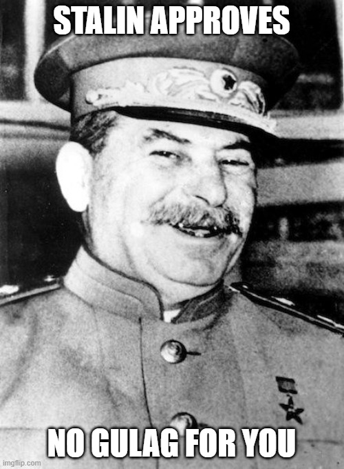 Stalin smile | STALIN APPROVES NO GULAG FOR YOU | image tagged in stalin smile | made w/ Imgflip meme maker