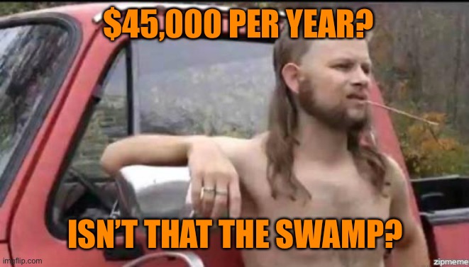 almost politically correct redneck | $45,000 PER YEAR? ISN’T THAT THE SWAMP? | image tagged in almost politically correct redneck | made w/ Imgflip meme maker