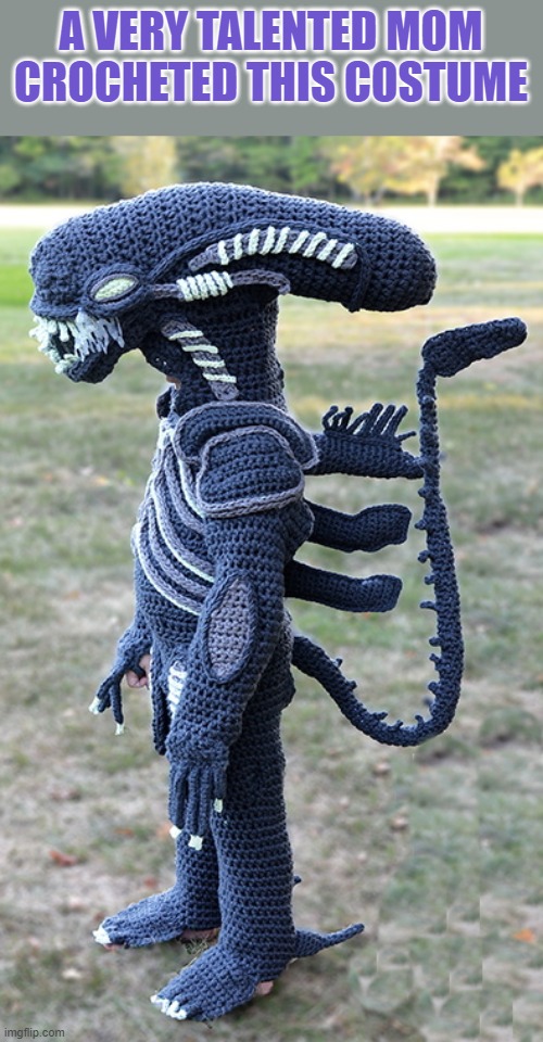 A VERY TALENTED MOM CROCHETED THIS COSTUME | made w/ Imgflip meme maker