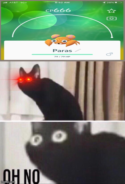 The devil Pokémon | image tagged in oh no cat | made w/ Imgflip meme maker