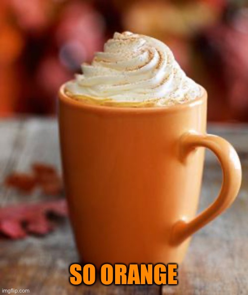 Pumpkin Spice | SO ORANGE | image tagged in pumpkin spice | made w/ Imgflip meme maker