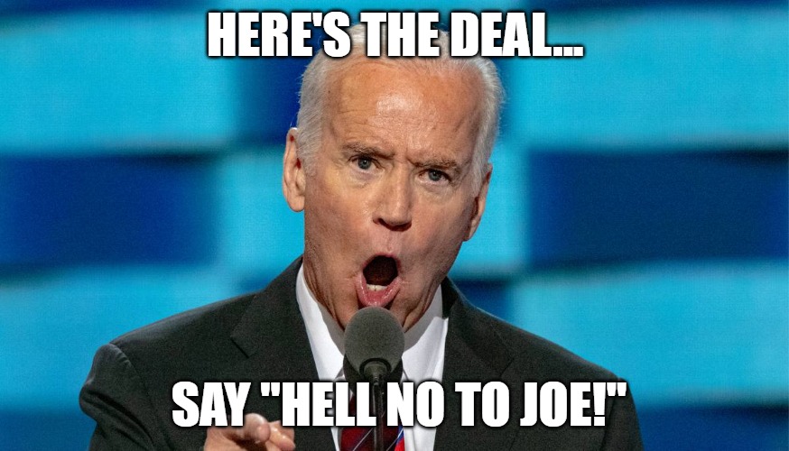 Hell no Joe | HERE'S THE DEAL... SAY "HELL NO TO JOE!" | image tagged in biden,joe biden,creepy joe,election,vot | made w/ Imgflip meme maker