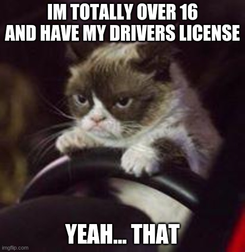 Grumpy Cat Car | IM TOTALLY OVER 16 AND HAVE MY DRIVERS LICENSE; YEAH... THAT | image tagged in grumpy cat car | made w/ Imgflip meme maker