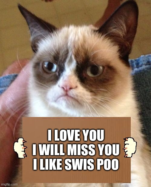 Grumpy Cat Cardboard Sign | I LOVE YOU I WILL MISS YOU I LIKE SWIS POO | image tagged in grumpy cat cardboard sign | made w/ Imgflip meme maker