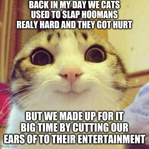 SMILING CAT | BACK IN MY DAY WE CATS USED TO SLAP HOOMANS REALY HARD AND THEY GOT HURT; BUT WE MADE UP FOR IT BIG TIME BY CUTTING OUR EARS OF TO THEIR ENTERTAINMENT | image tagged in smiling cat | made w/ Imgflip meme maker