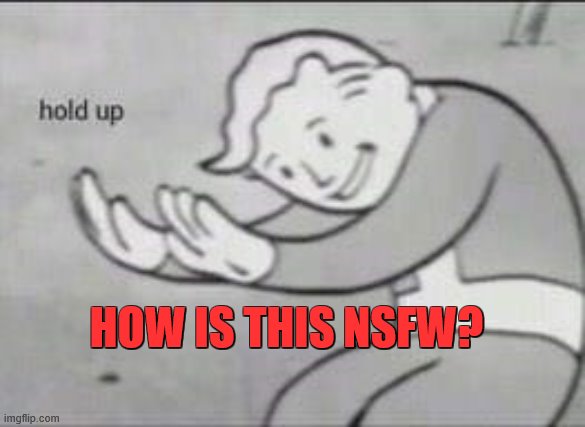 Fallout Hold Up | HOW IS THIS NSFW? | image tagged in fallout hold up | made w/ Imgflip meme maker