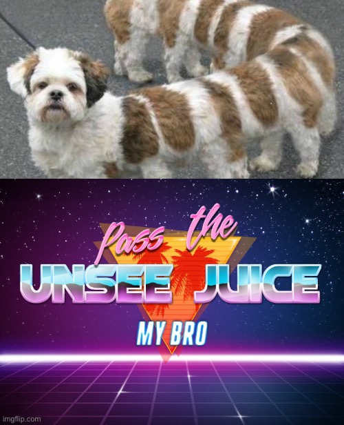 Pass the unsee juice | image tagged in pass the unsee juice my bro,dogs,cursed image,centipede,memes,funny | made w/ Imgflip meme maker