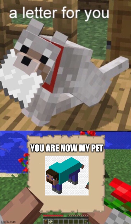Minecraft Mail | YOU ARE NOW MY PET | image tagged in minecraft mail | made w/ Imgflip meme maker