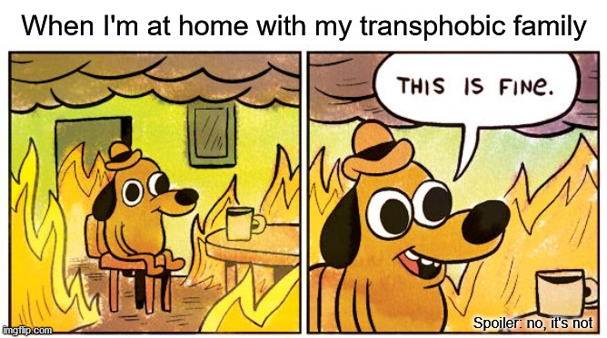 Can no more | When I'm at home with my transphobic family; Spoiler: no, it's not | image tagged in memes,this is fine | made w/ Imgflip meme maker