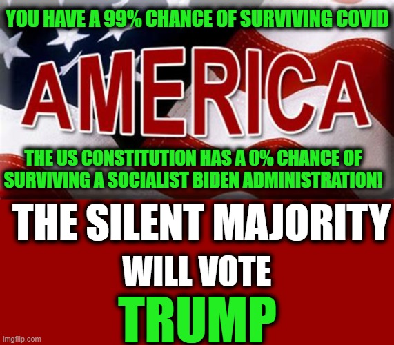 Fight Against The Enemies From Within (Democrat Socialists) | YOU HAVE A 99% CHANCE OF SURVIVING COVID; THE US CONSTITUTION HAS A 0% CHANCE OF SURVIVING A SOCIALIST BIDEN ADMINISTRATION! THE SILENT MAJORITY; WILL VOTE; TRUMP | image tagged in politics,political meme,donald trump,joe biden,donald trump approves,make america great again | made w/ Imgflip meme maker