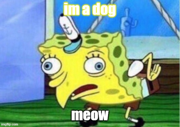 Mocking Spongebob Meme | im a dog; meow | image tagged in memes,mocking spongebob | made w/ Imgflip meme maker