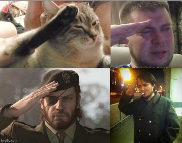 Cat salute m3m3 Blank Meme Template