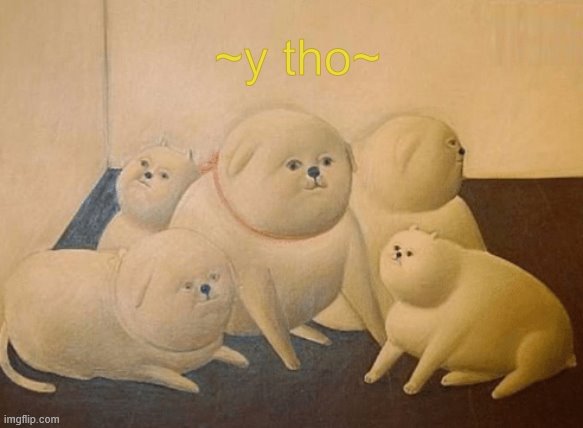 y tho | ~y tho~ | image tagged in y tho | made w/ Imgflip meme maker