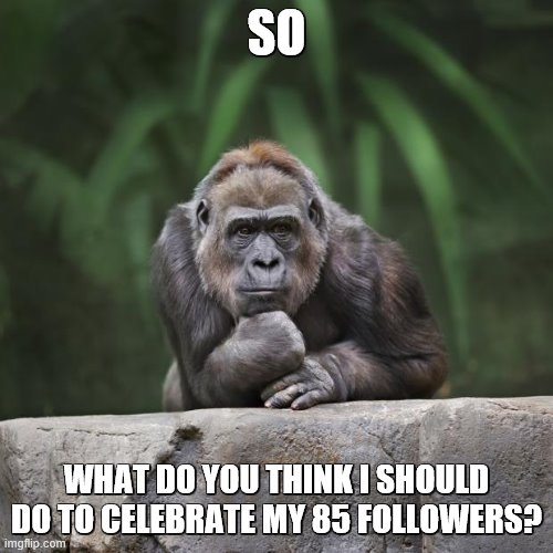 but it cannot be a face reveal | SO; WHAT DO YOU THINK I SHOULD DO TO CELEBRATE MY 85 FOLLOWERS? | image tagged in thinking gorilla | made w/ Imgflip meme maker