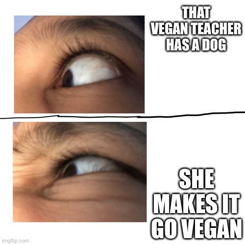 THAT VEGAN TEACHER HAS A DOG; SHE MAKES IT GO VEGAN | image tagged in angry eye | made w/ Imgflip meme maker