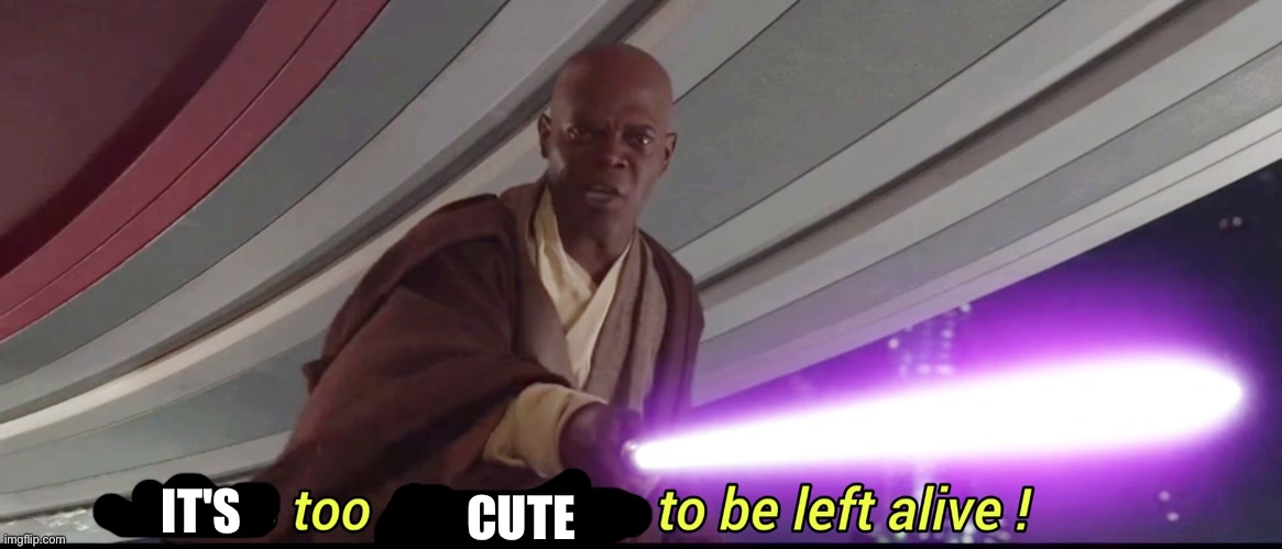 He's too dangerous to be left alive! | IT'S CUTE | image tagged in he's too dangerous to be left alive | made w/ Imgflip meme maker