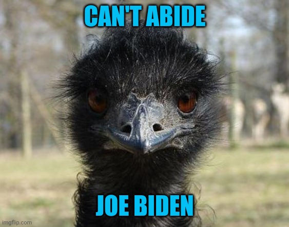 Even a birdbrain knows better | CAN'T ABIDE; JOE BIDEN | image tagged in bad news emu | made w/ Imgflip meme maker