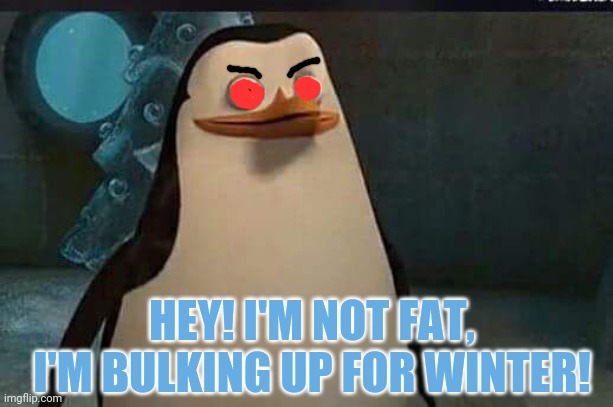 Madagascar penguin | HEY! I'M NOT FAT, I'M BULKING UP FOR WINTER! | image tagged in madagascar penguin | made w/ Imgflip meme maker