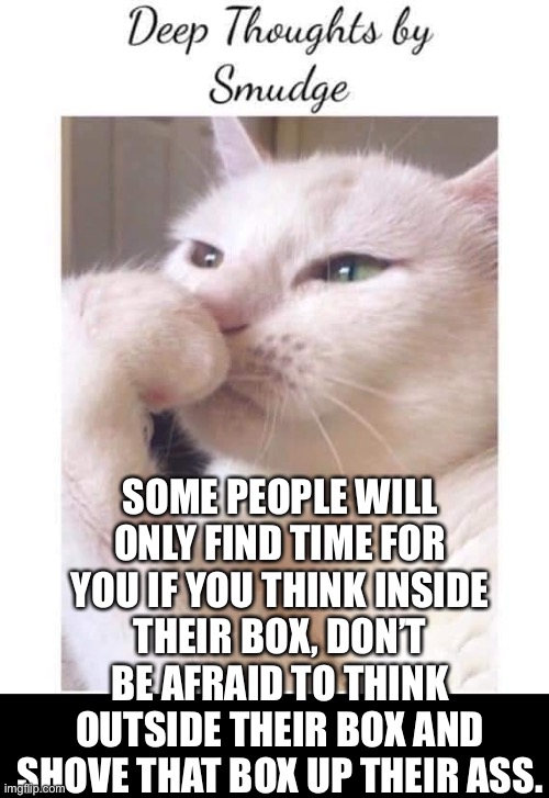 Smudge thinking. | SOME PEOPLE WILL ONLY FIND TIME FOR YOU IF YOU THINK INSIDE THEIR BOX, DON’T BE AFRAID TO THINK OUTSIDE THEIR BOX AND SHOVE THAT BOX UP THEIR ASS. | image tagged in deep-thoughts-by-smudge | made w/ Imgflip meme maker