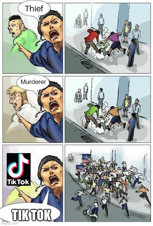 Theif! Murderer! | TIK TOK | image tagged in theif murderer | made w/ Imgflip meme maker