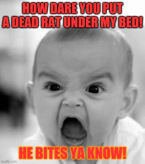 to bad baby!!! | HOW DARE YOU PUT A DEAD RAT UNDER MY BED! HE BITES YA KNOW! | image tagged in memes,angry baby | made w/ Imgflip meme maker