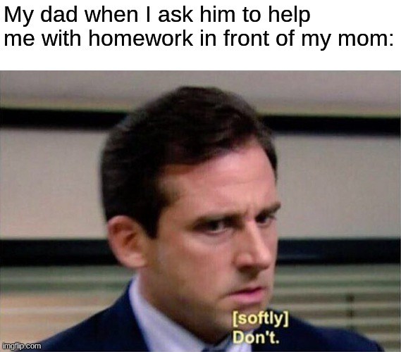 Michael Scott Don't Softly | My dad when I ask him to help me with homework in front of my mom: | image tagged in michael scott don't softly | made w/ Imgflip meme maker