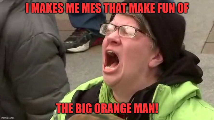 Screaming Libtard  | I MAKES ME MES THAT MAKE FUN OF THE BIG ORANGE MAN! | image tagged in screaming libtard | made w/ Imgflip meme maker