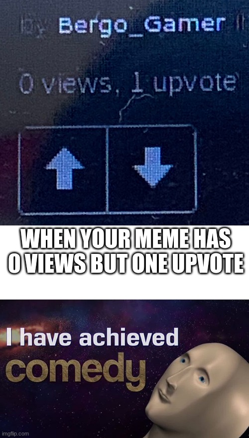 Based On A True Story... | WHEN YOUR MEME HAS 0 VIEWS BUT ONE UPVOTE | image tagged in i have achieved comedy,upvotes,memes | made w/ Imgflip meme maker