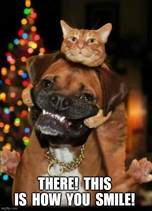 smile! | THERE!  THIS  IS  HOW  YOU  SMILE! | image tagged in cat,dog,smile | made w/ Imgflip meme maker