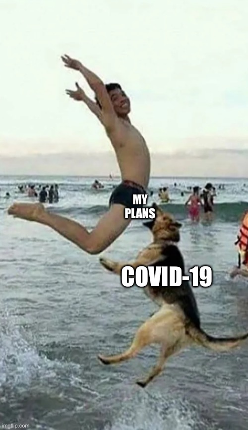 Dog bite dick | MY PLANS; COVID-19 | image tagged in dog bite dick | made w/ Imgflip meme maker