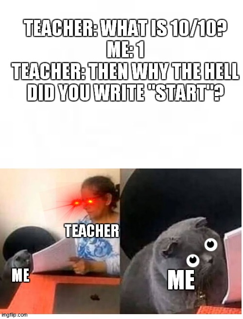 Cat in Among Us | TEACHER: WHAT IS 10/10?
ME: 1
TEACHER: THEN WHY THE HELL DID YOU WRITE "START"? TEACHER; ME; ME | image tagged in cat,interveiw,among us | made w/ Imgflip meme maker