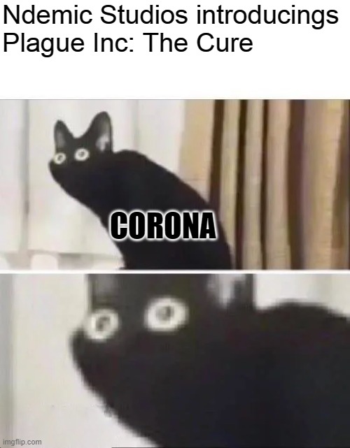 The End of corona | Ndemic Studios introducings Plague Inc: The Cure; CORONA | image tagged in oh no black cat | made w/ Imgflip meme maker