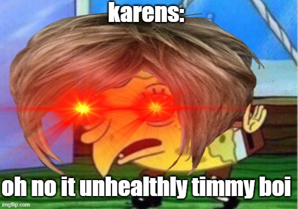 karens when | karens:; oh no it unhealthly timmy boi | image tagged in karens | made w/ Imgflip meme maker