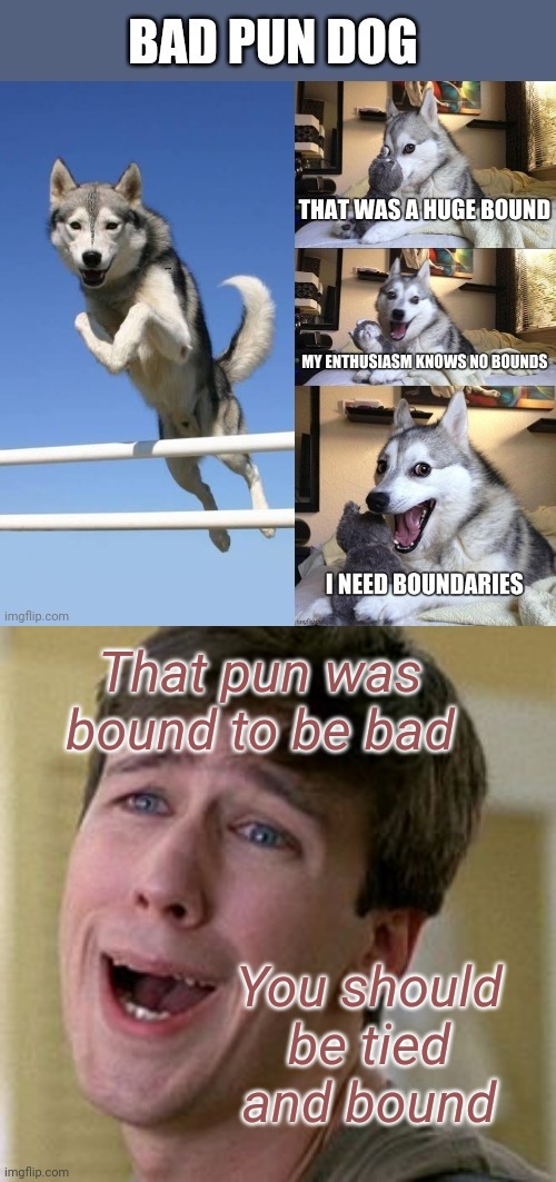 Bad Pun Dog | That pun was bound to be bad; You should be tied and bound | image tagged in sarcastic face,bad pun dog | made w/ Imgflip meme maker