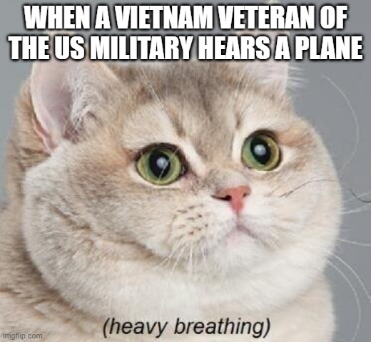 *Fortunate Son Plays* | WHEN A VIETNAM VETERAN OF THE US MILITARY HEARS A PLANE | image tagged in memes,heavy breathing cat | made w/ Imgflip meme maker