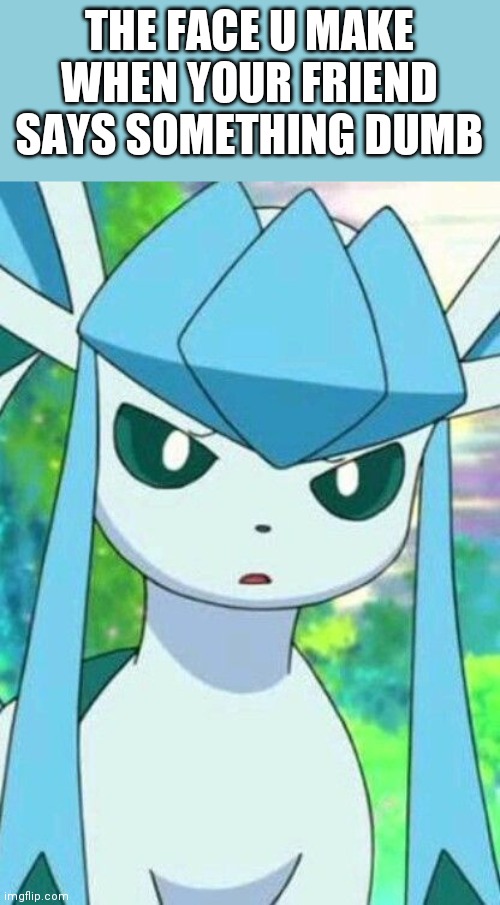 Glaceon confused | THE FACE U MAKE WHEN YOUR FRIEND SAYS SOMETHING DUMB | image tagged in glaceon confused | made w/ Imgflip meme maker