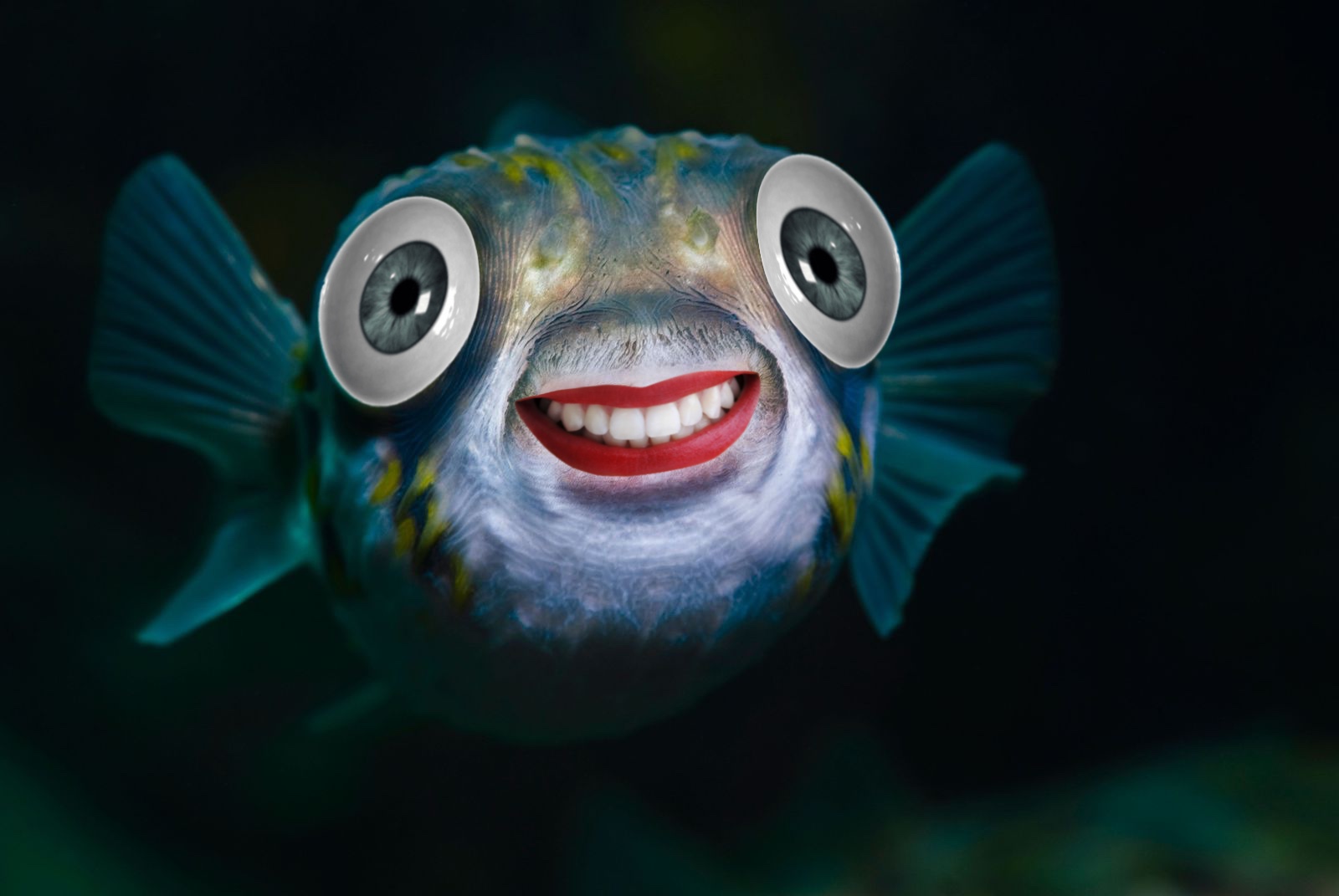 High Quality Smiling fish meme Blank Meme Template