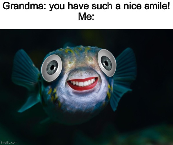 Smile for me fishy boy | Grandma: you have such a nice smile!
Me: | image tagged in smiling fish meme | made w/ Imgflip meme maker
