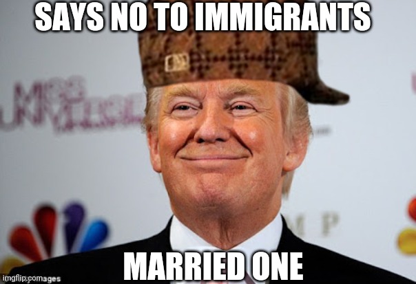 SAYS NO TO IMMIGRANTS; MARRIED ONE | image tagged in smiling cat | made w/ Imgflip meme maker