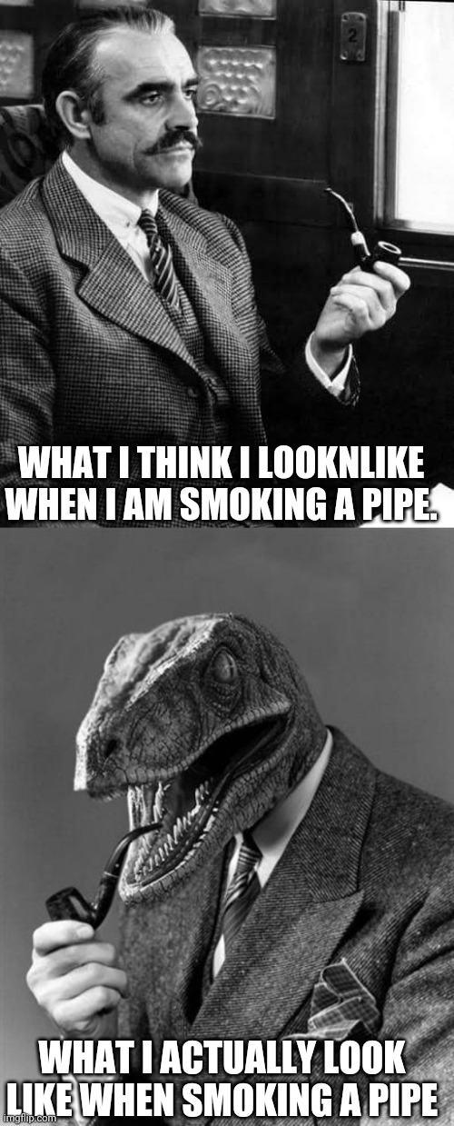WHAT I THINK I LOOKNLIKE WHEN I AM SMOKING A PIPE. WHAT I ACTUALLY LOOK LIKE WHEN SMOKING A PIPE | image tagged in pipe-smoking philosoraptor | made w/ Imgflip meme maker