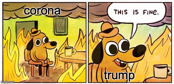 This Is Fine | corona; trump | image tagged in memes,this is fine | made w/ Imgflip meme maker