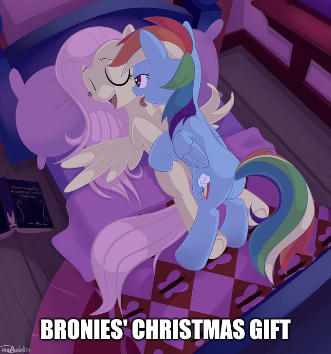 MLP fans aka Bronies' Christmas gift | BRONIES' CHRISTMAS GIFT | image tagged in mlp fim,bronies,christmas,fluttershy,rainbow dash,memes | made w/ Imgflip meme maker