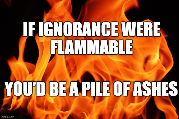 Ignorance | IF IGNORANCE WERE
FLAMMABLE; YOU'D BE A PILE OF ASHES | image tagged in ignorance,stupidity,gullibility | made w/ Imgflip meme maker