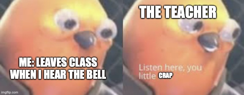 Listen here you little shit bird | THE TEACHER; ME: LEAVES CLASS WHEN I HEAR THE BELL; CRAP | image tagged in listen here you little shit bird | made w/ Imgflip meme maker