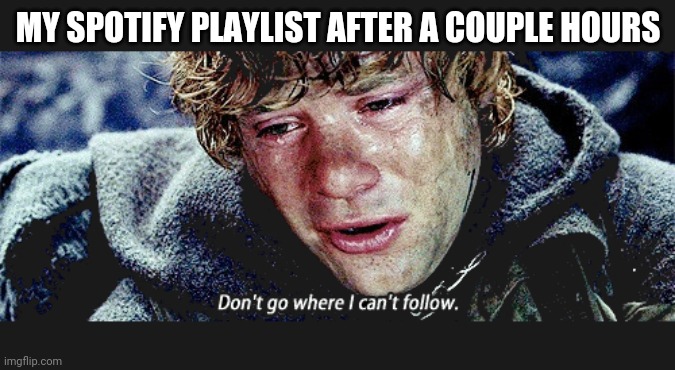 dont go where i cant follow | MY SPOTIFY PLAYLIST AFTER A COUPLE HOURS | image tagged in dont go where i cant follow | made w/ Imgflip meme maker