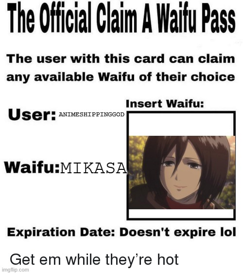 Waifu pass | ANIMESHIPPINGGOD; MIKASA | image tagged in waifu pass | made w/ Imgflip meme maker