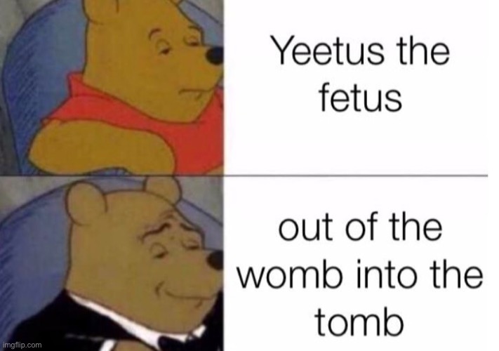 Yeetus the Fetus out of the womb into the tomb | image tagged in yeet,baby yeet,yeet baby,yeet the child,fetus,tuxedo winnie the pooh | made w/ Imgflip meme maker