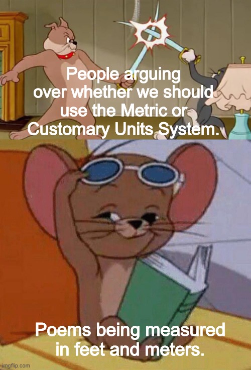And the meters are made up of the feet in poems | People arguing over whether we should use the Metric or Customary Units System. Poems being measured in feet and meters. | image tagged in tom and jerry swordfight,poetry | made w/ Imgflip meme maker
