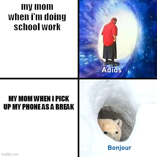 the first meme i have ever made on a laptop | my mom when i'm doing school work; MY MOM WHEN I PICK UP MY PHONE AS A BREAK | image tagged in adios bonjour | made w/ Imgflip meme maker